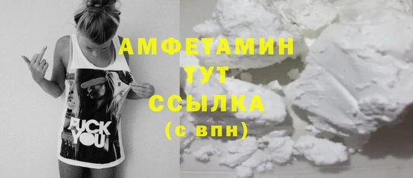 твердый Абаза
