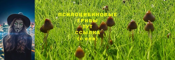 твердый Абаза