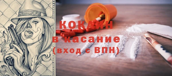 твердый Абаза